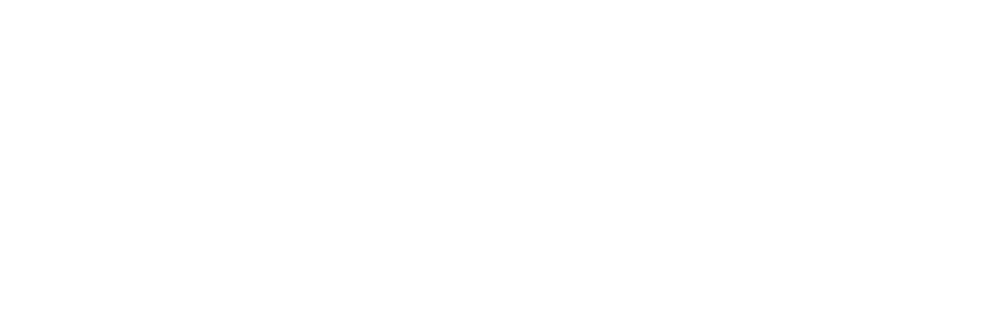 Logo AP AGENCY Blanco